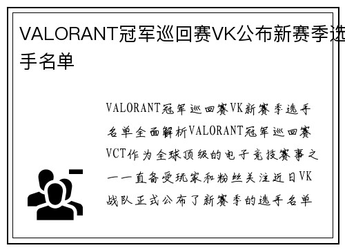 VALORANT冠军巡回赛VK公布新赛季选手名单